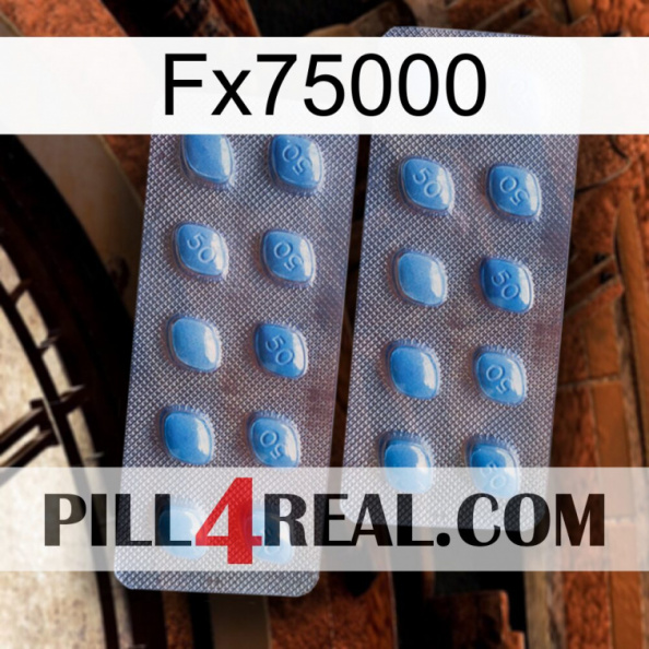 Fx75000 viagra4